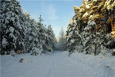 任天堂Switch 2在线服务GameCube系列经典游戏展示